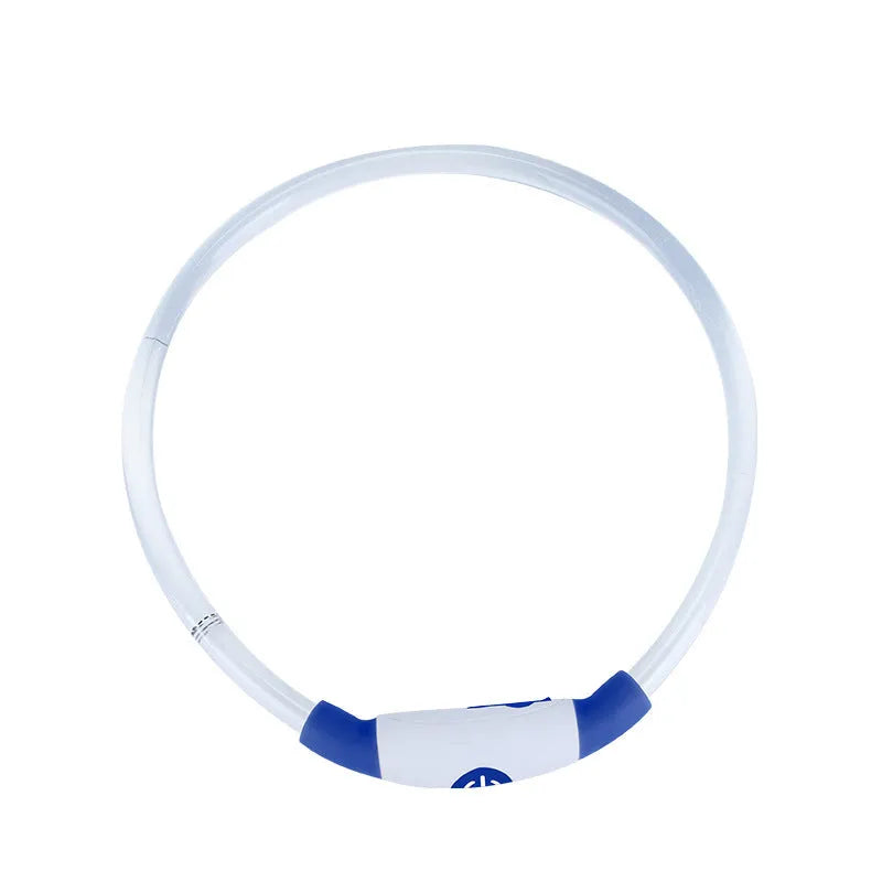 Blue USB rechargeable LED dog collar glowing around a dog's neck at night.