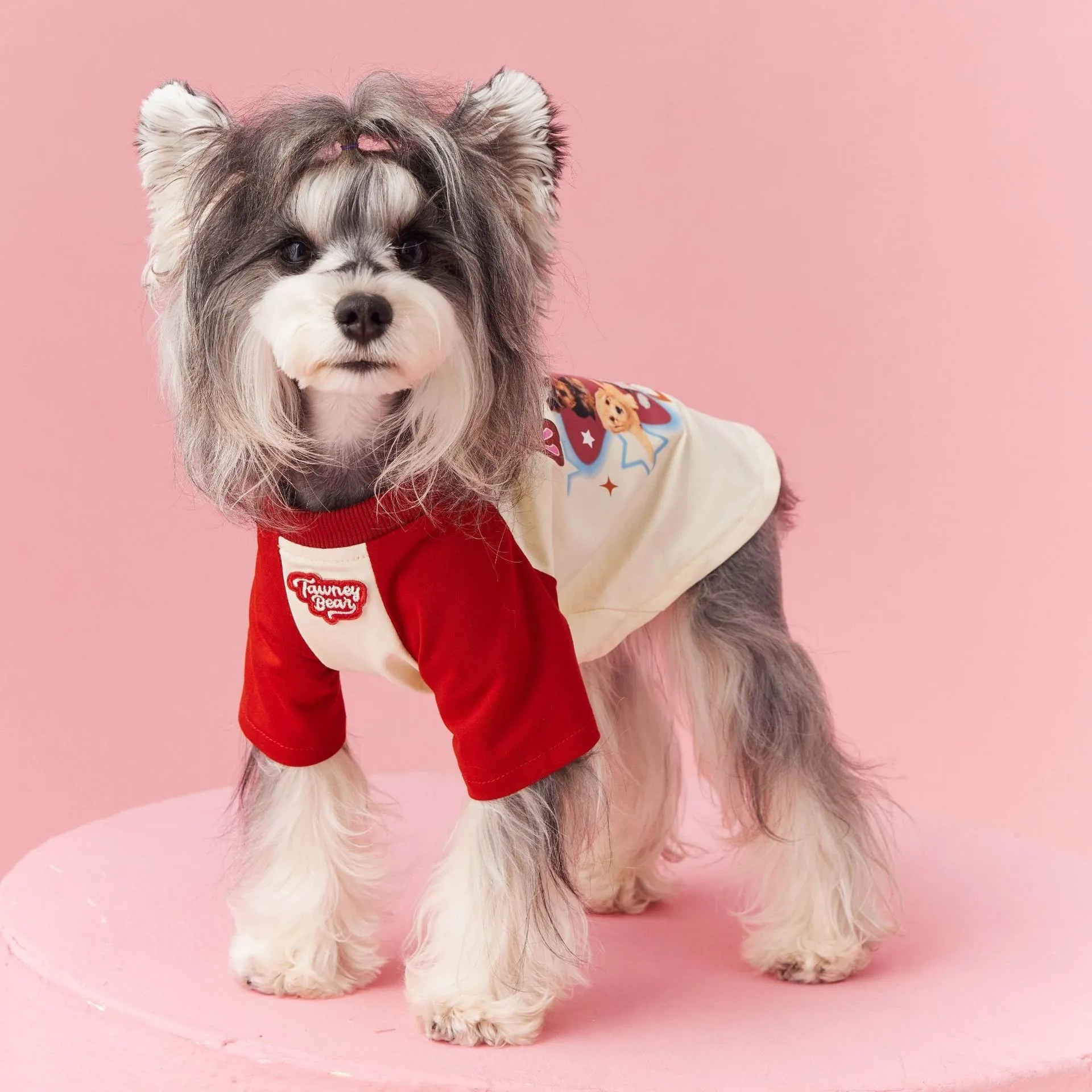 Red and pink embroidered cotton summer clothes for a dog on a size scale from XS to XXL.