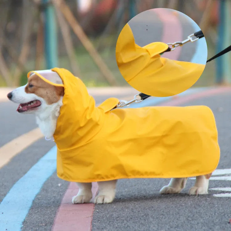 Dog wearing transparent-brim waterproof PU raincoat with bellyband in egg yolk man colour