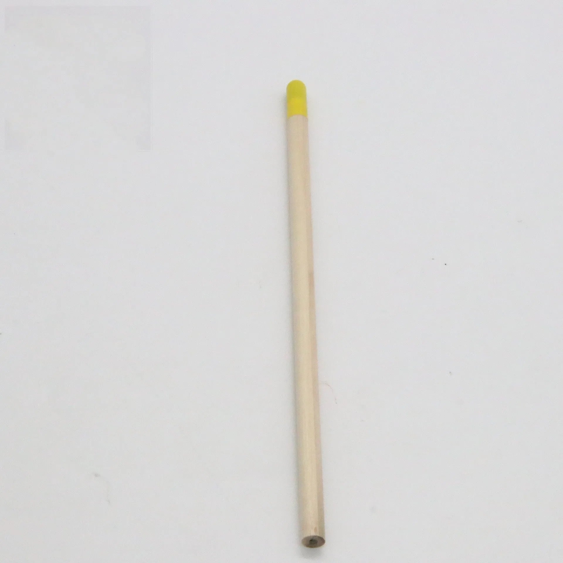 HB hardness seed pencil with biodegradable plantable capsule containing herb flower vegetable seeds