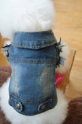 Denim dog vest with scratch pattern in dark wash colour on small breed dog