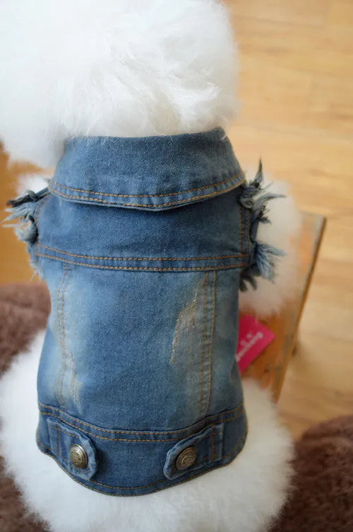 Denim dog vest with scratch pattern in dark wash colour on small breed dog