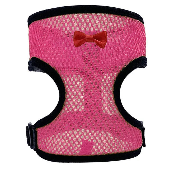 Chicken wearing mesh harness vest with decorative collar and control rope