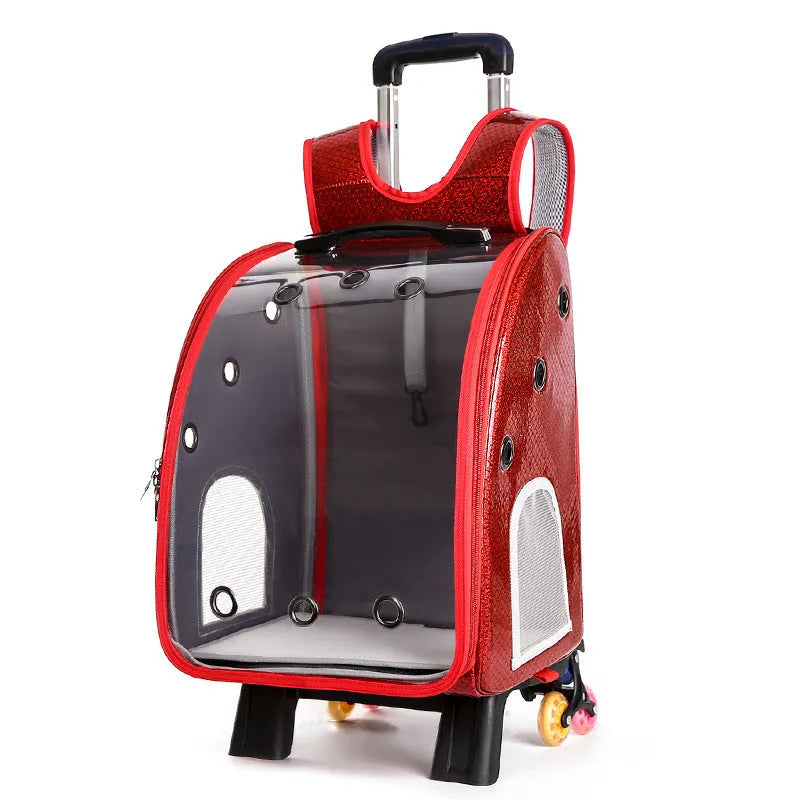 Transparent foldable pet trolley bag for small dogs and cats with shoulder carrying strap