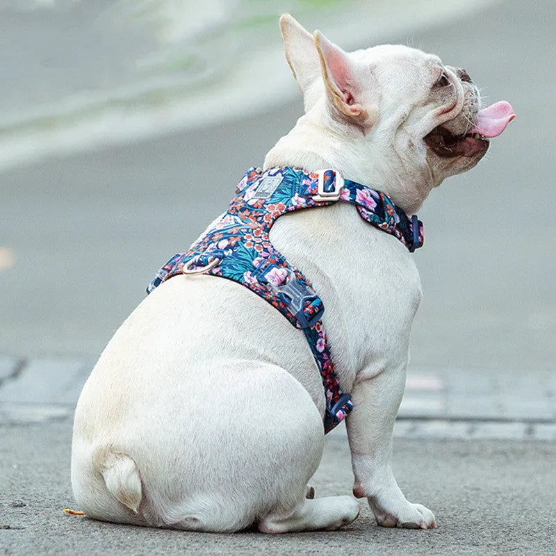 Cotton pet harness with chest strap in floral pattern, showing size adjustment points