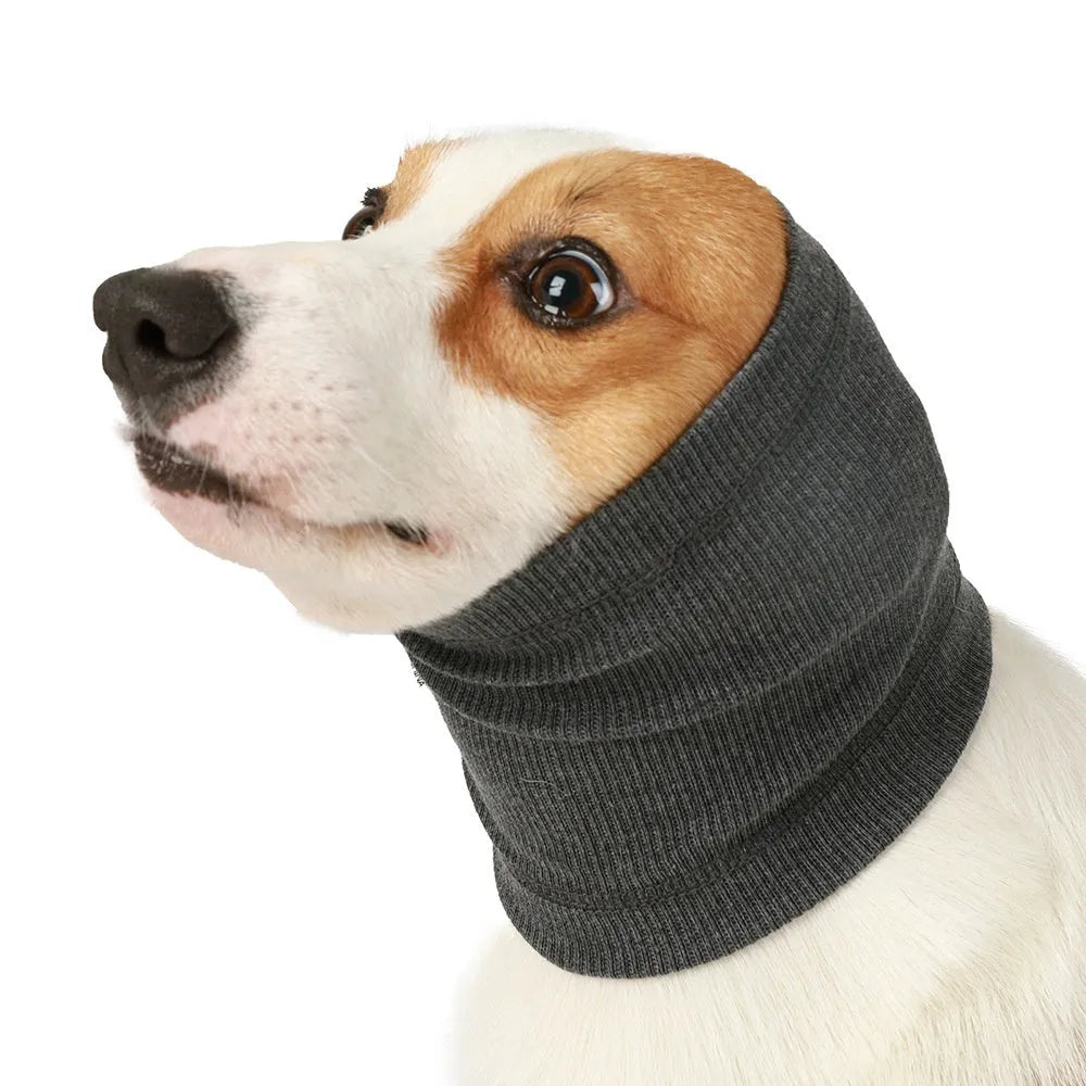 Blue adjustable polyester dog headband scarf tied around a dog's head.