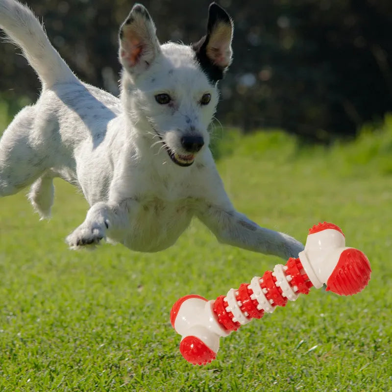 Blue bone-shaped rubber dog toy with treat compartment for small breed puppies