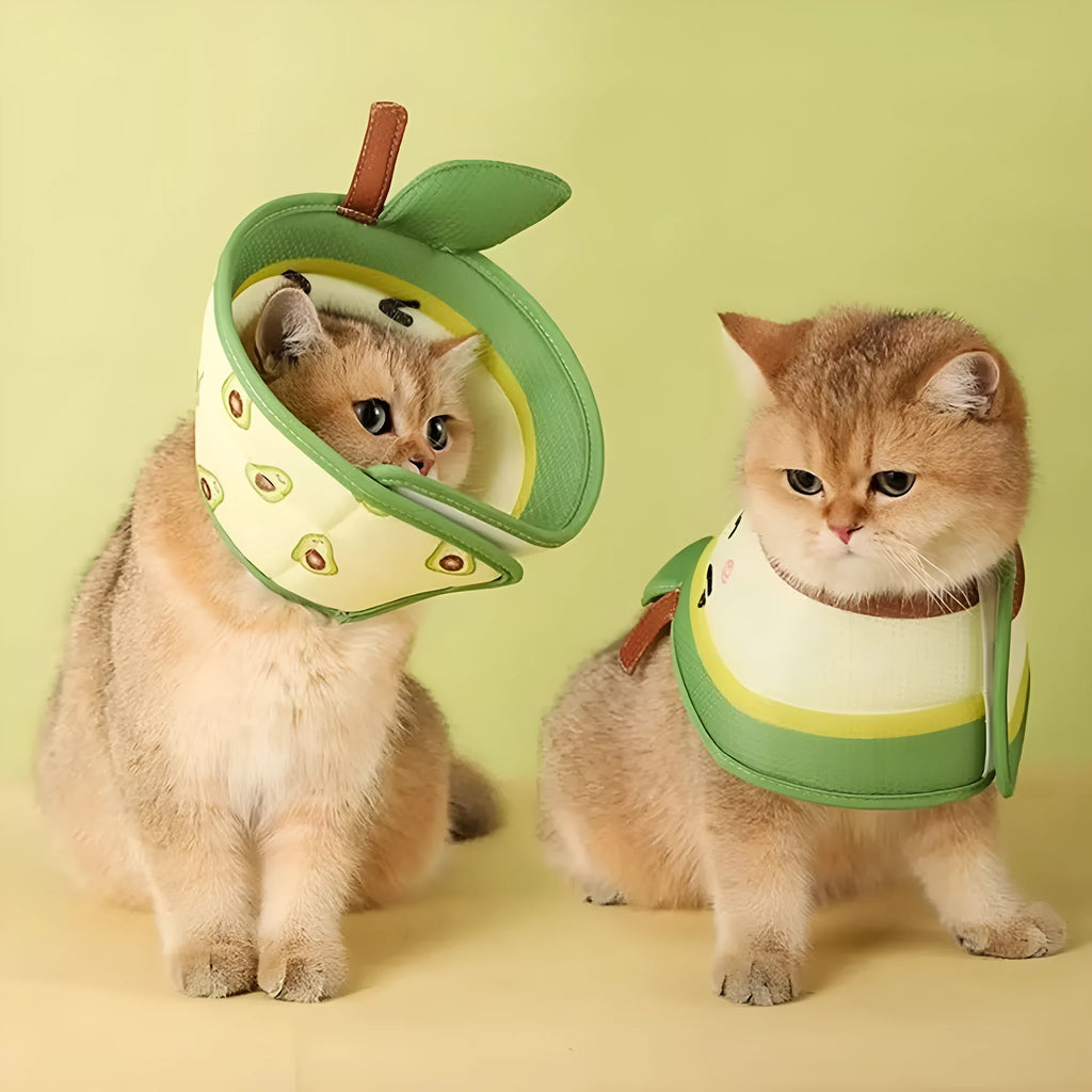 Soft grey EPE foam cat recovery cone collar with adjustable white strap and foldable edges.