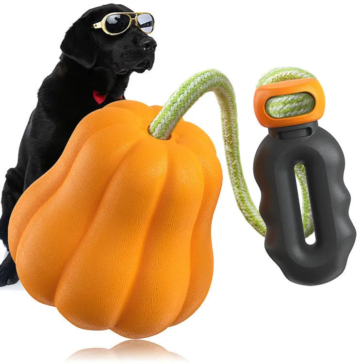Pumpkin orange plastic dog chew toy with attached rope for tugging and fetching.