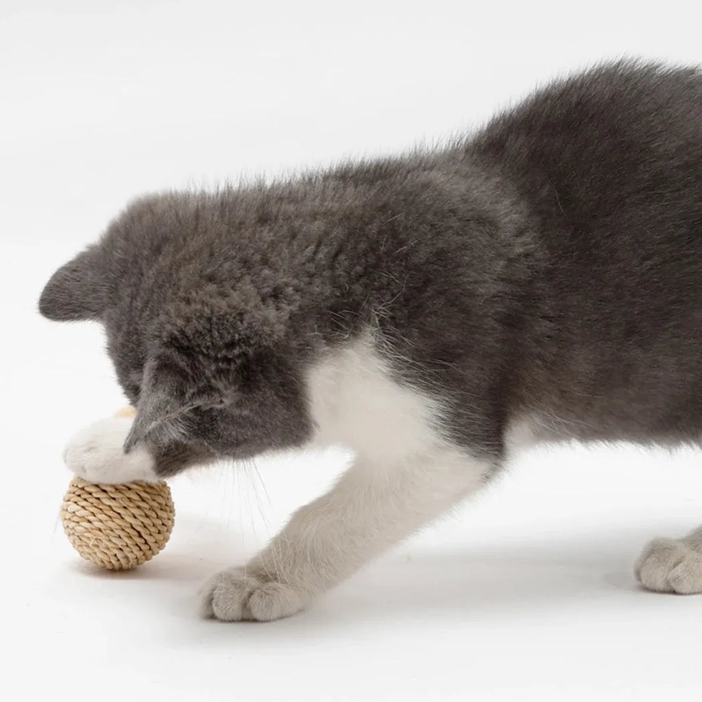 Cat toy set showing rattan ball and faux feather ball with bell for interactive play