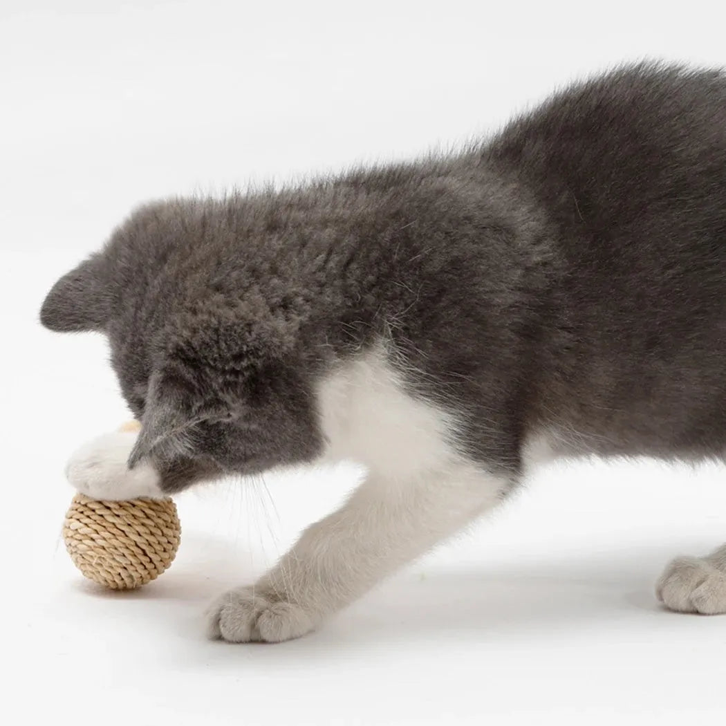 Cat toy set showing rattan ball and faux feather ball with bell for interactive play