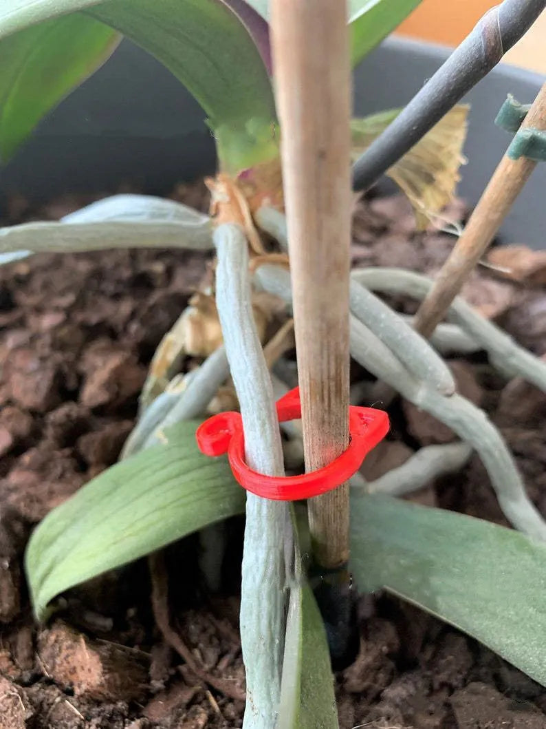 Plastic cat-shaped plant clip for gardening in green, red, white or yellow