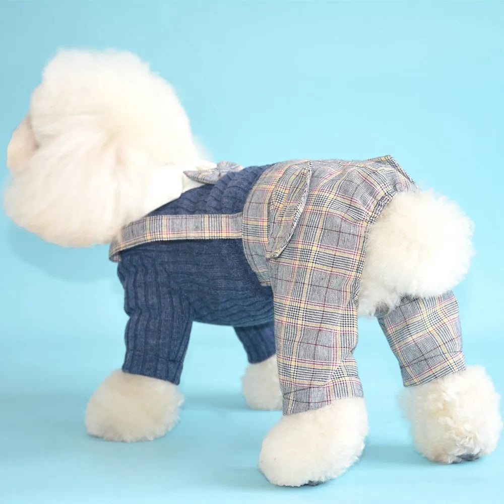 Orange cotton dog suit shirt with collar and buttons on a small dog