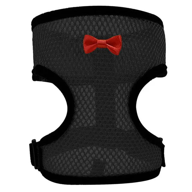 Chicken wearing mesh harness vest with decorative collar and control rope