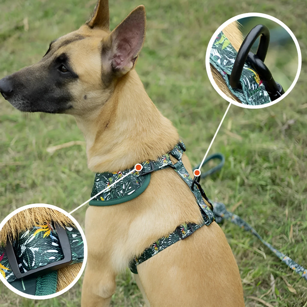 Six-piece adjustable cloth dog harness set with leash, collar, bow, towel, and clean-up bag in S, M, L sizes.