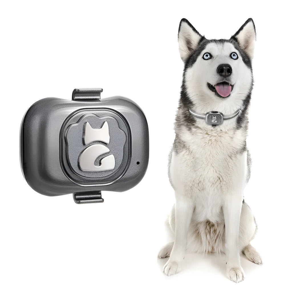 Black pet GPS tracker with hanging rope for attachment to dog or cat collars