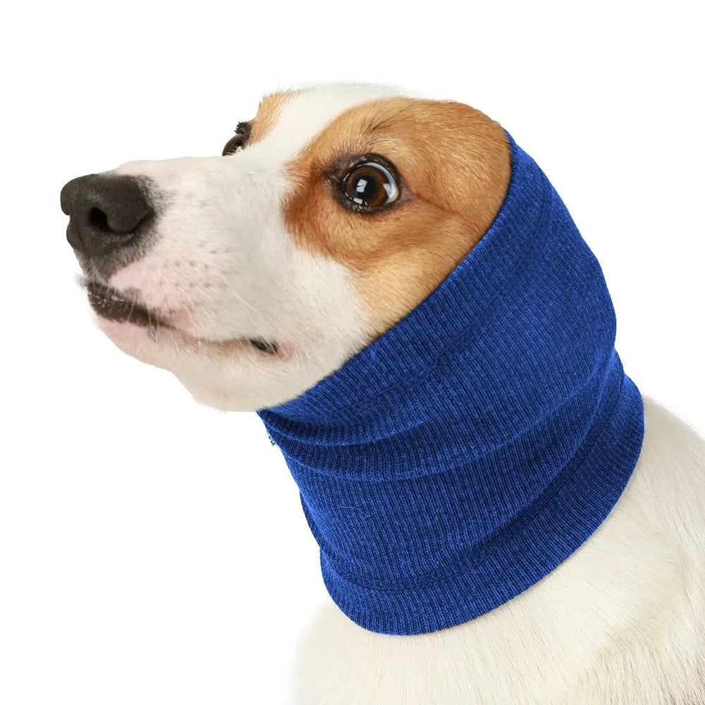 Blue adjustable polyester dog headband scarf tied around a dog's head.