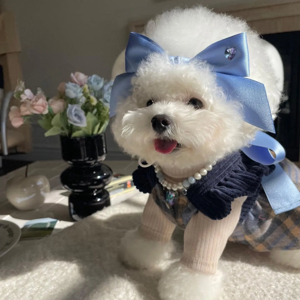 Princess style dog hair band with adjustable bow on canine model showing jacquard fabric detail