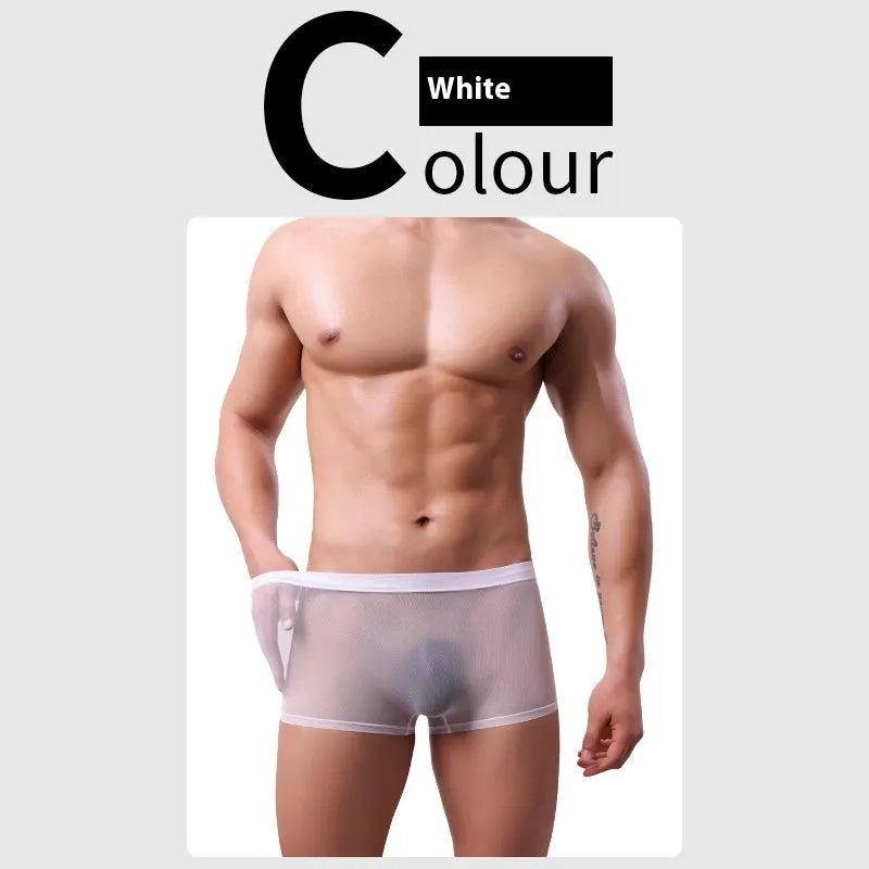 Men's mesh boxer briefs in black, white, green, sapphire blue, skin colour, or pink