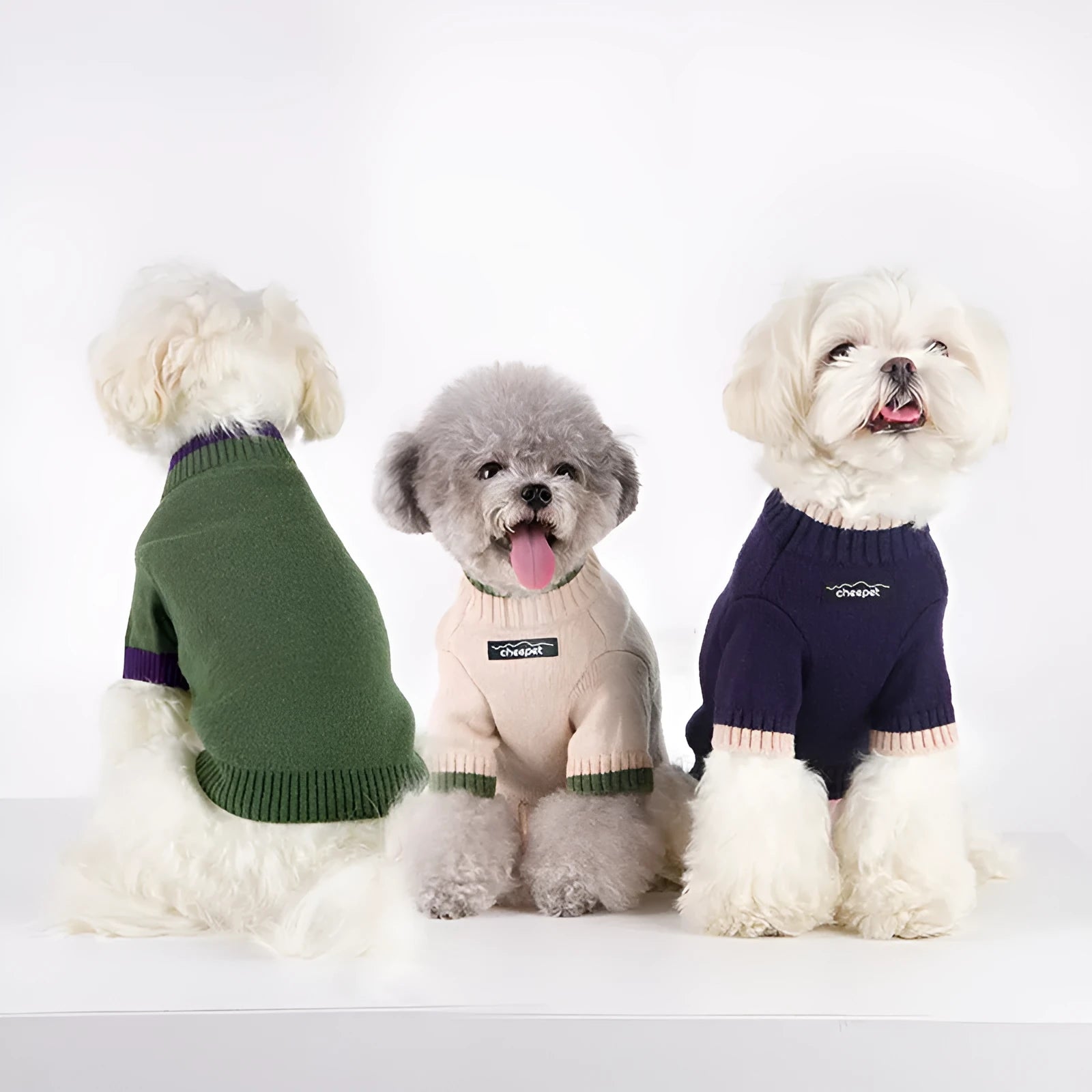 British style pet sweater with contrast colour design on dog model