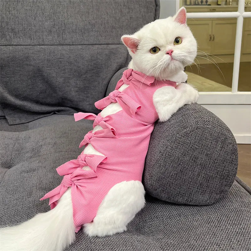 Lace-up polyester cat sterilisation recovery clothing shown in blue on a mannequin.