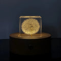 5cm clear resin cube containing preserved dandelion with wooden box and USB charging base