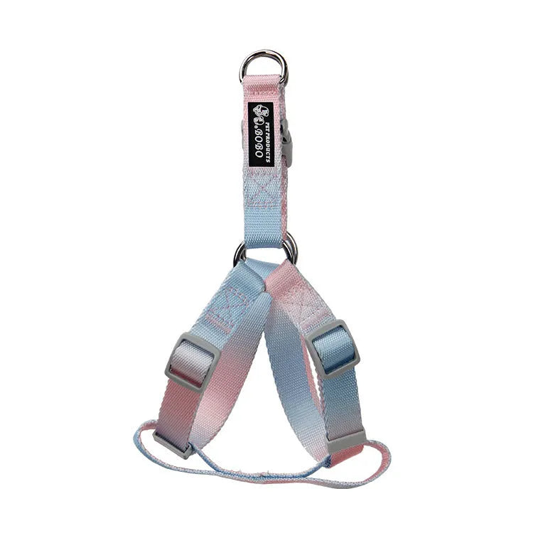 Nylon dog leash and collar set showing pink and blue gradient colour option.