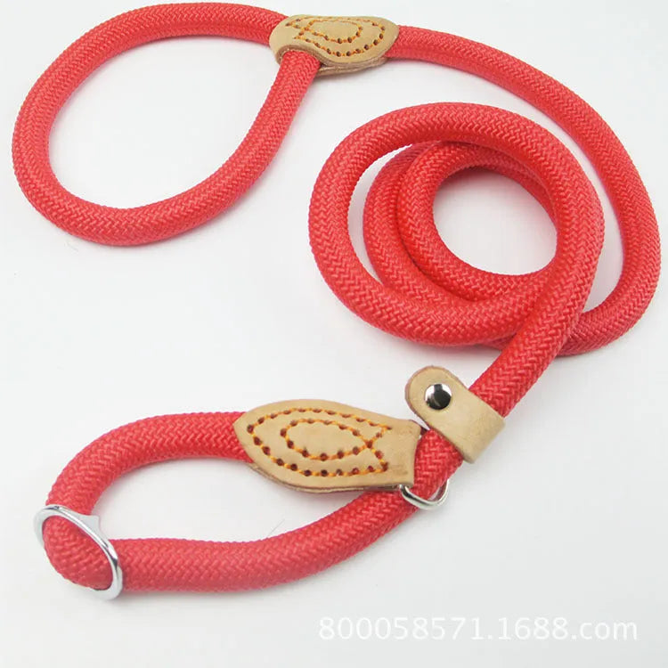 Brown nylon dog leash with P chain hand holding rope, shown at full 2.1 metre length.