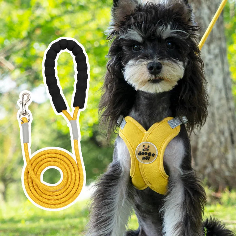 Adjustable dog harness and lead set with hand-holding rope in multiple colour options