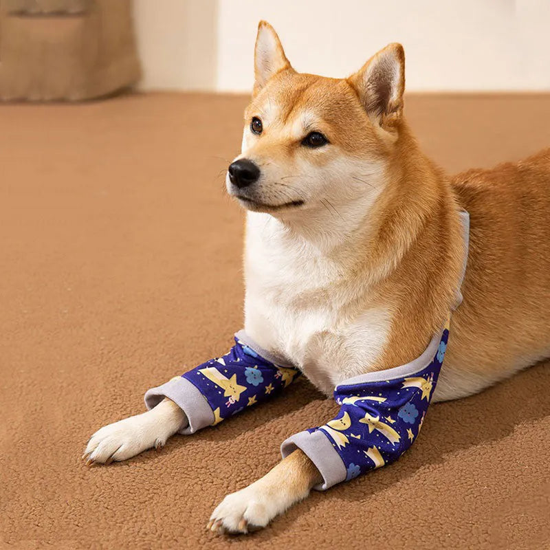Dog wearing blue knee protector with elbow padding and matching scarf on front leg