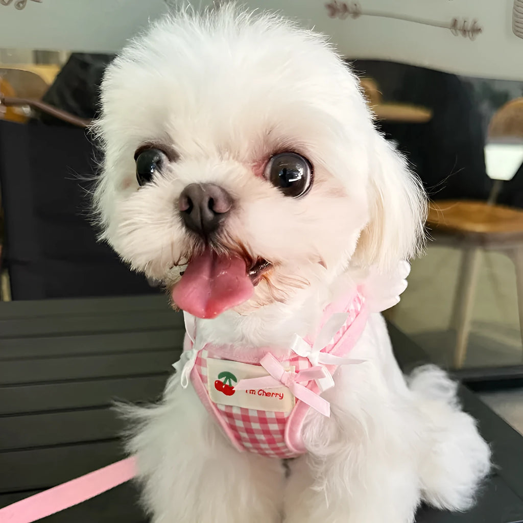 Pink cotton chest-back dog harness with a top handle for a small dog.