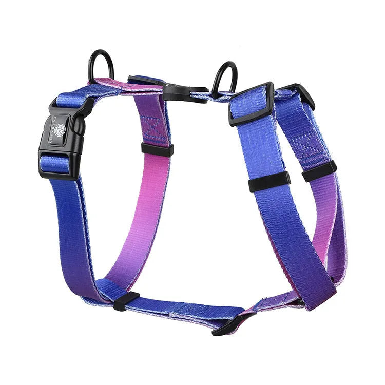 Gradient colour pet chest strap harness in purple, blue, neon, or green patterns.