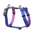 Gradient colour pet chest strap harness in purple, blue, neon, or green patterns.