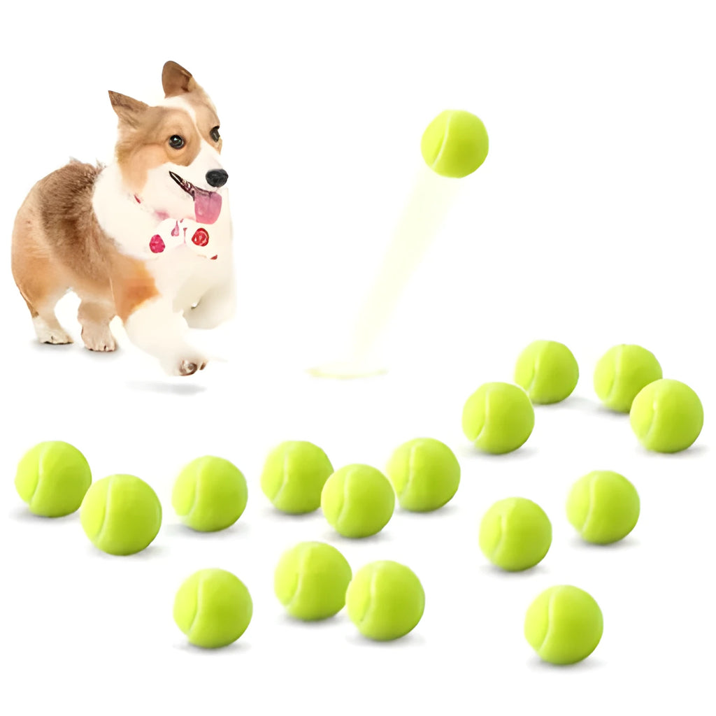 6.3 cm diameter solid rubber dog tennis ball in assorted bright colours on a green lawn.