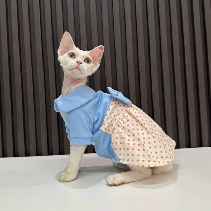 Hairless cat wearing a polka dot cotton blend bow skirt, available in sizes XS to XXXL for cats 0.75kg to 6.75kg
