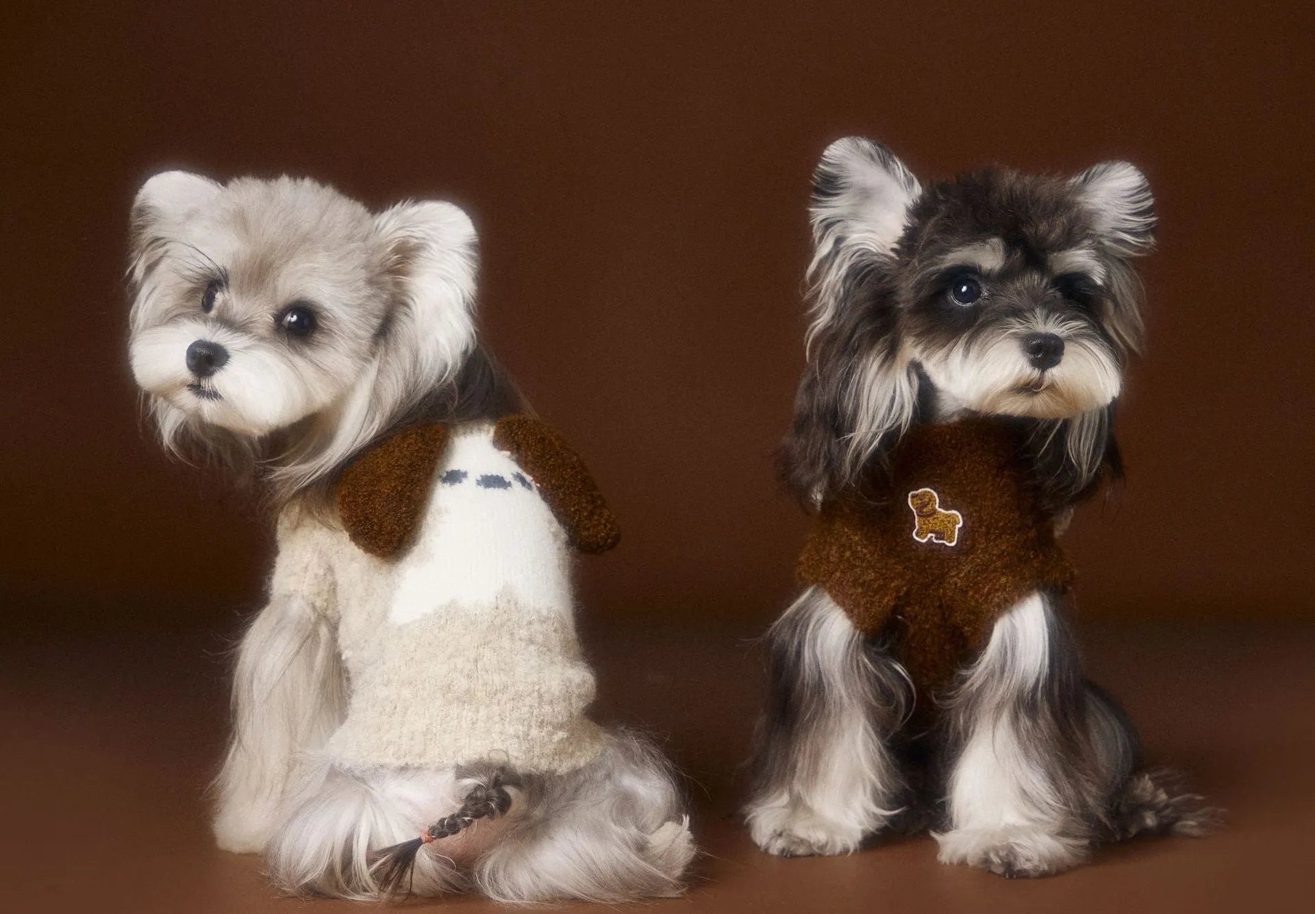Sleeveless dog sweater vest with 3D ear design in beige for small breeds