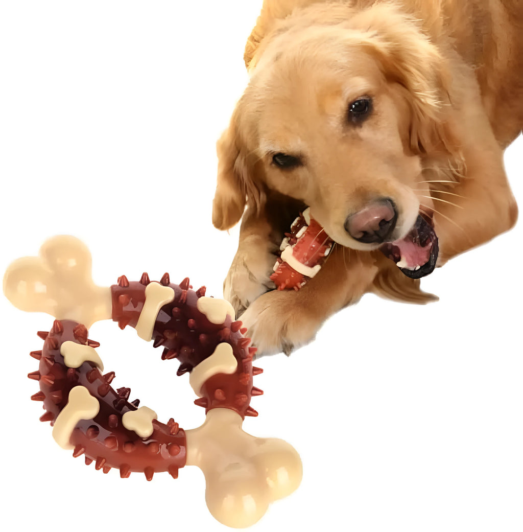 Natural rubber bone-shaped dog molar chew toy in two sizes for teeth grinding and anxiety relief