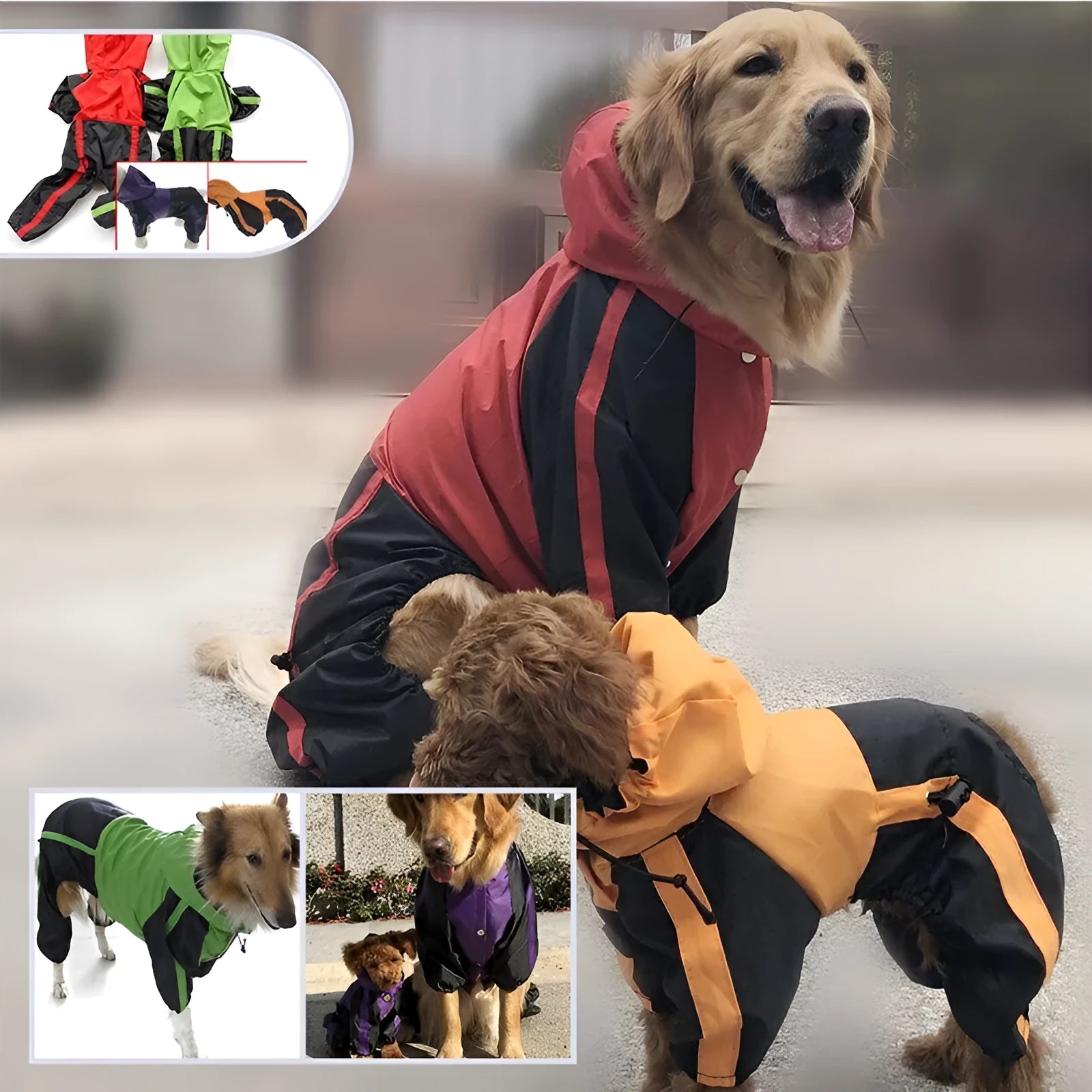 Large dog pet raincoat in green made from waterproof nylon with adjustable size for outdoor wet weather walking