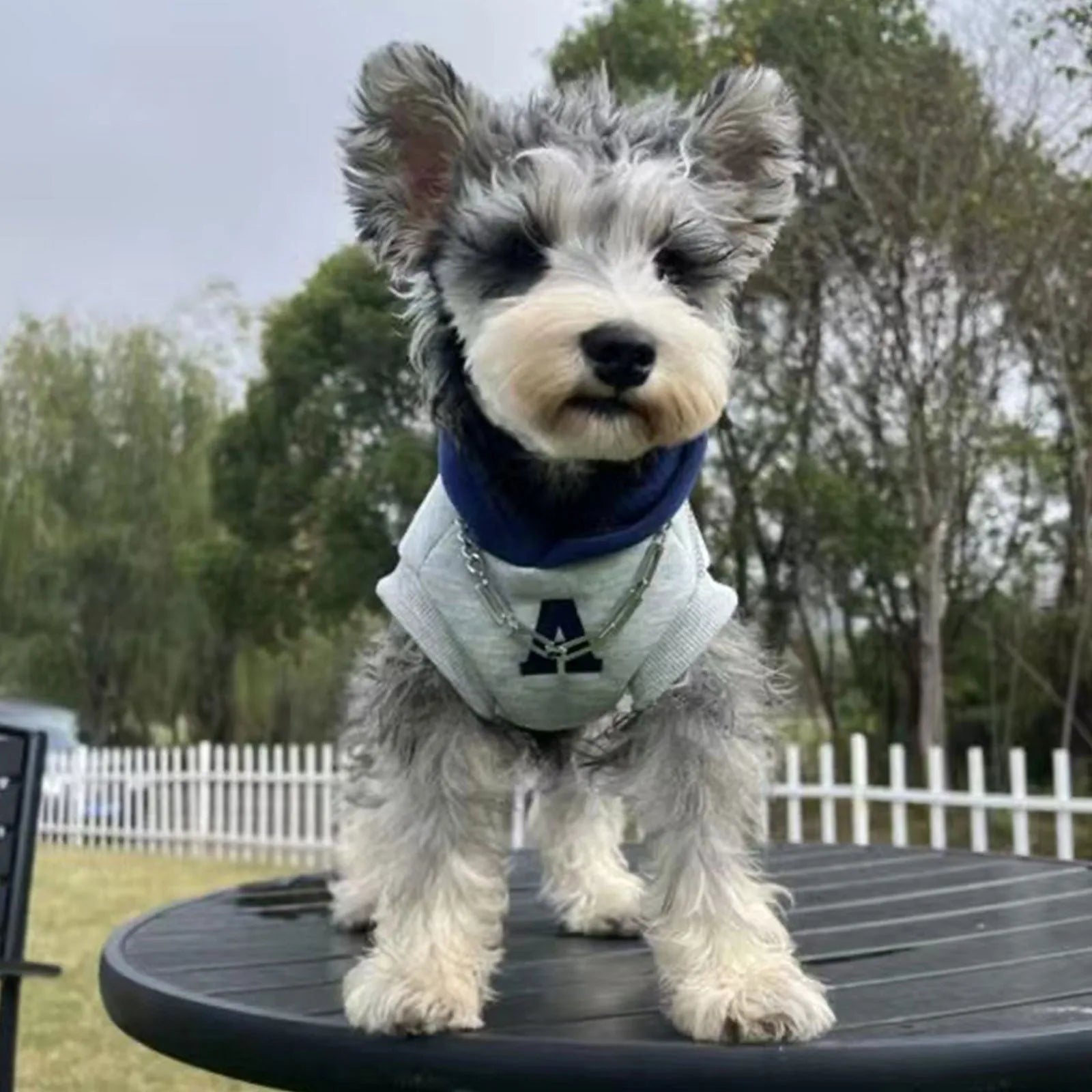Blue pet sweater with reflective letters for a dog, showing slim-fitting design.