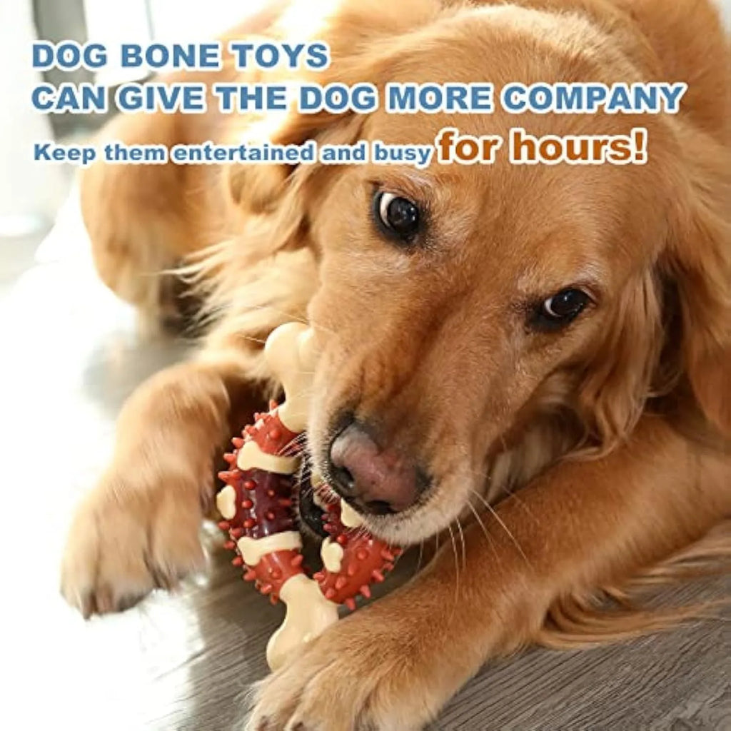 Natural rubber bone-shaped dog molar chew toy in two sizes for teeth grinding and anxiety relief