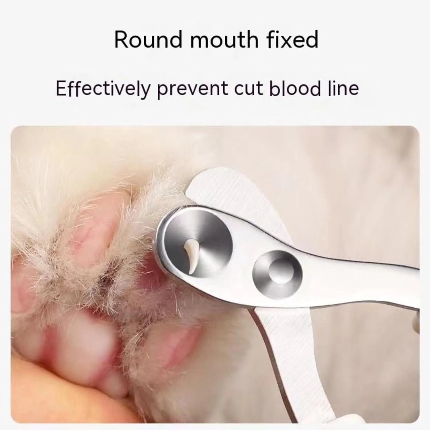 Cat nail clippers with circular hole design in blue, orange, and pink colours