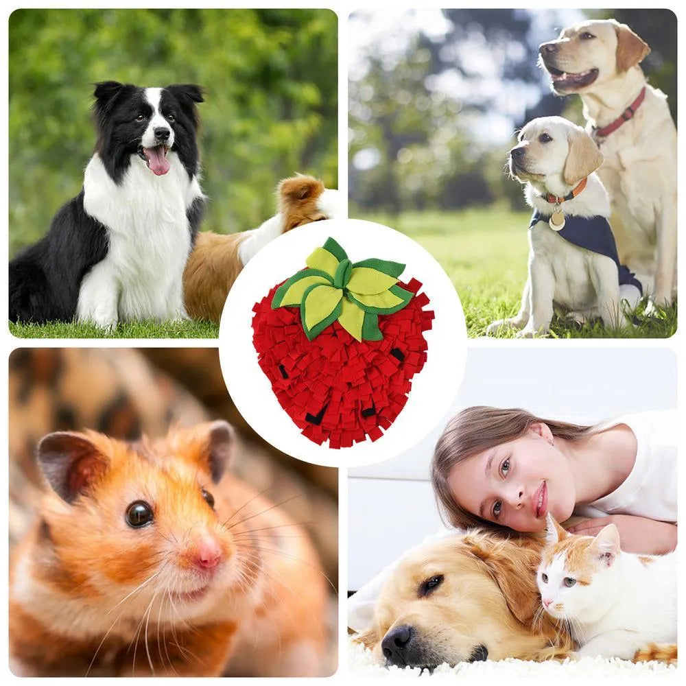 Red and green strawberry-shaped pet slow feeder mat with hiding spots measuring 45x35 cm