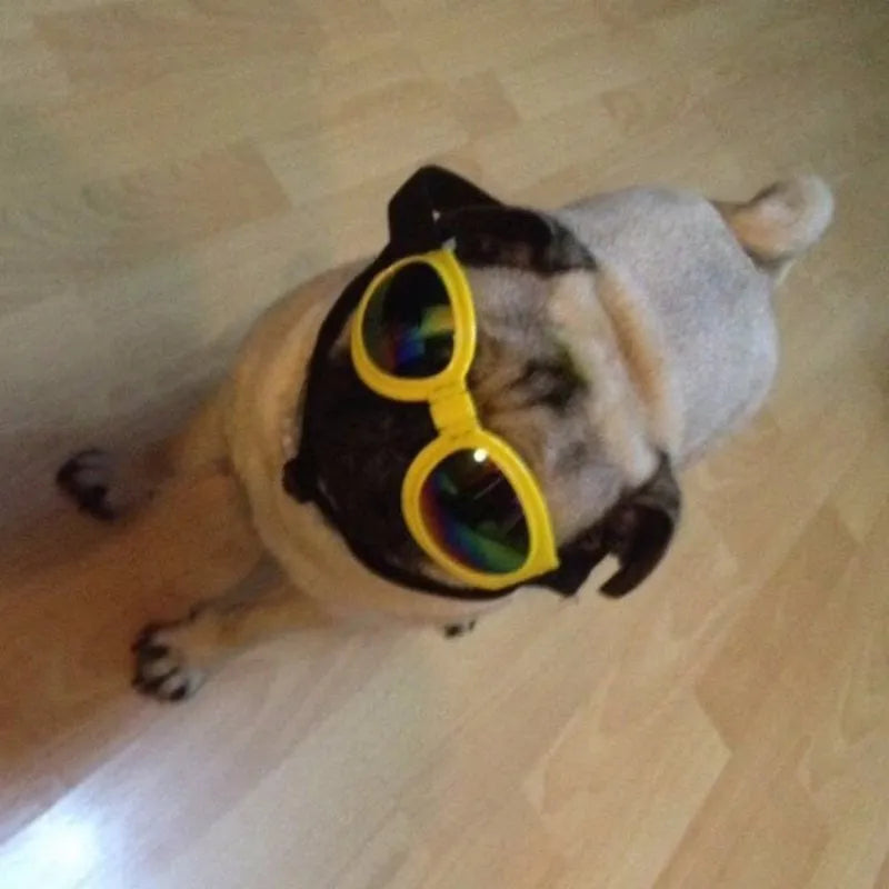 Foldable dog sunglasses in black with UV protection and adjustable straps