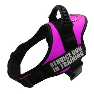 Personalised reflective no-pull dog harness in nylon with adjustable chest strap and sturdy handle