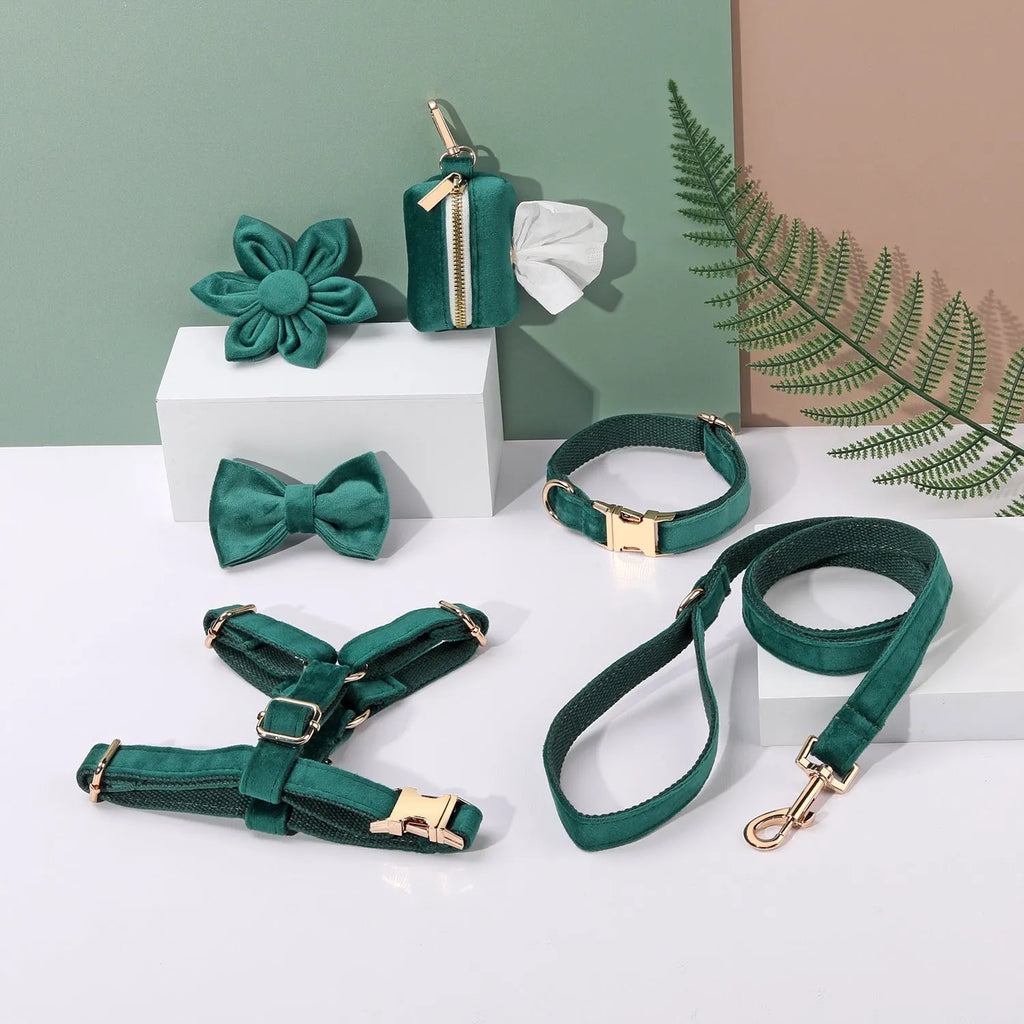Classic velvet pet collar and traction rope set with matching bow tie, flower and accessories