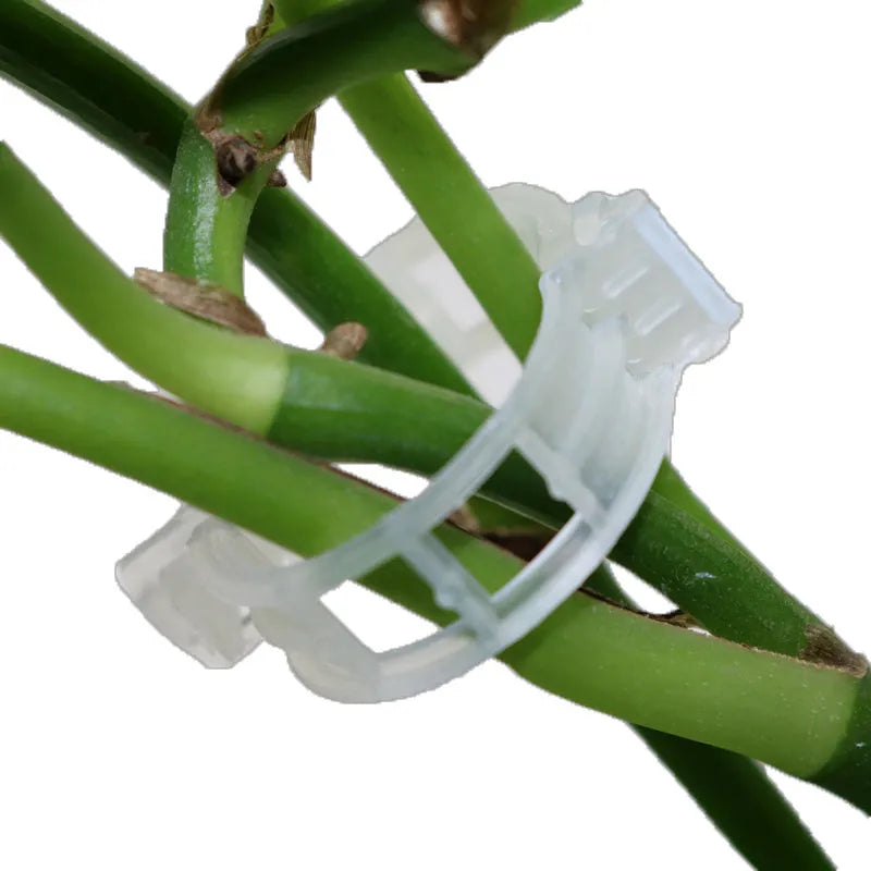 50 plastic grafting clips for tomato plant and garden vine support in random colours