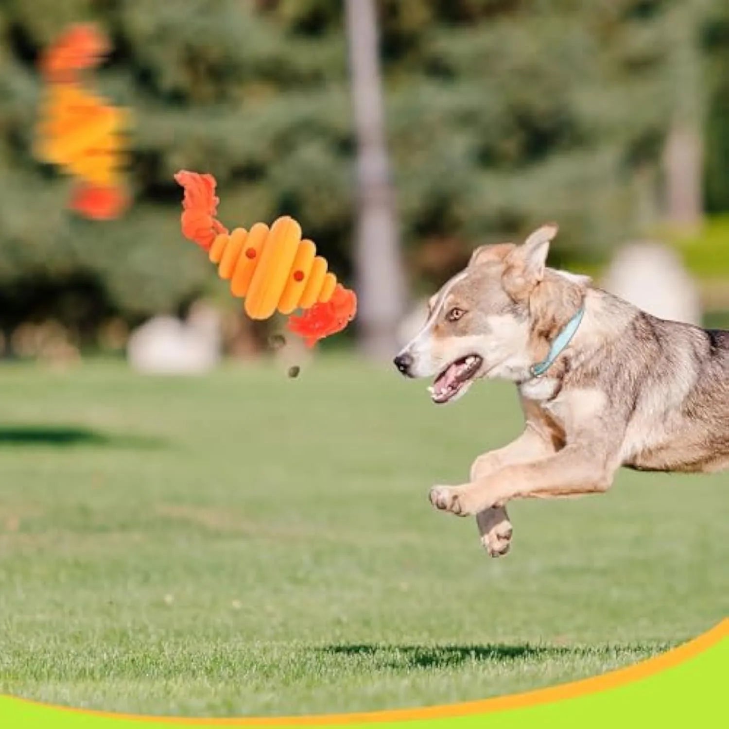 Green and yellow dog ball with attached rope for interactive play and food dispensing