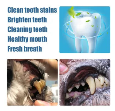 Yegbong pet teeth whitening pen and dental brush set for dog and cat oral care