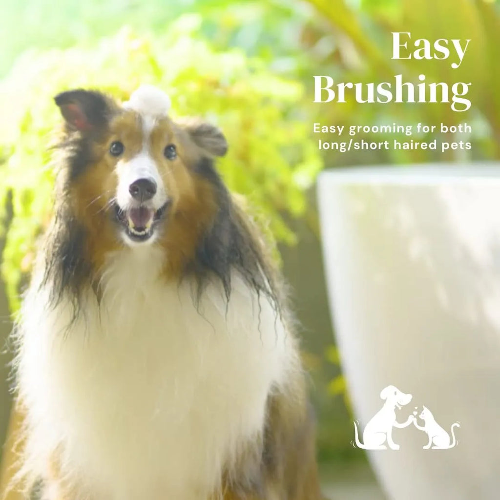 Blue grey pink self-cleaning slicker brush for dogs and cats with ergonomic handle