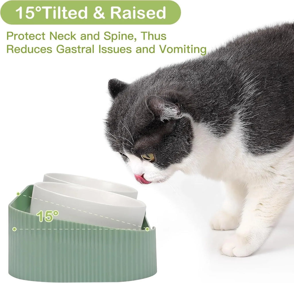 Ceramic elevated cat bowls with 15 degree tilt and non-slip base in green, white or yellow